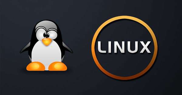 Преимущества майнинга на Линуксе и обзор приложений для работы