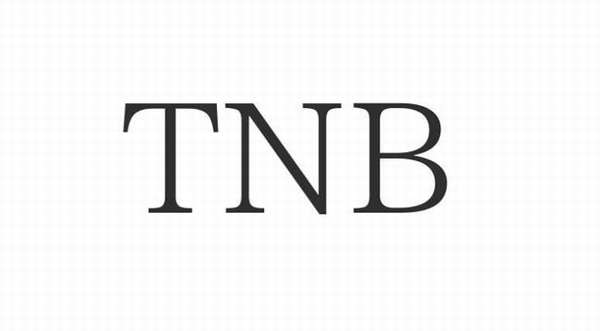 Time New Bank (TNB) 