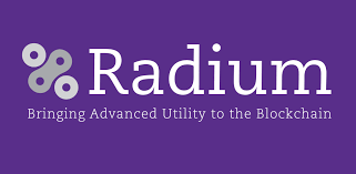 Что из себя представляет проект Radium (RADS)?