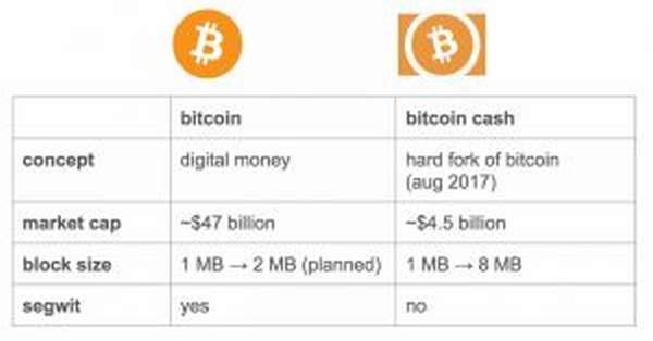 Что собой представляет Bitcoin Cash и какие по нему прогнозы